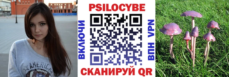 Псилоцибиновые грибы мицелий  Шахты 