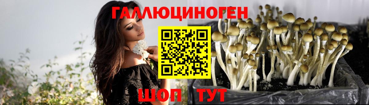 Псилоцибиновые грибы Psilocybine cubensis  Вход с VPN  Шахты 